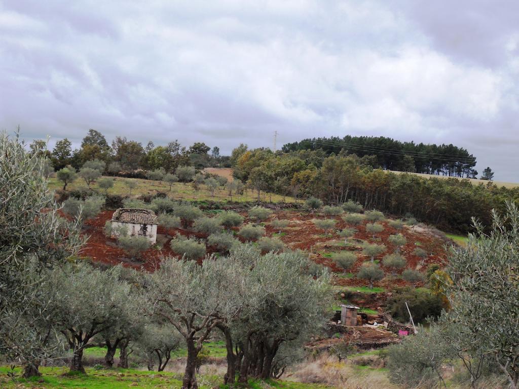 Retiro Terrasol Ξενοδοχείο Tó Εξωτερικό φωτογραφία