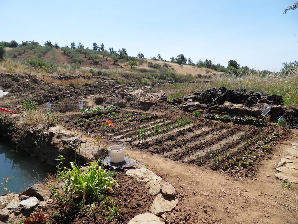 Retiro Terrasol Ξενοδοχείο Tó Εξωτερικό φωτογραφία